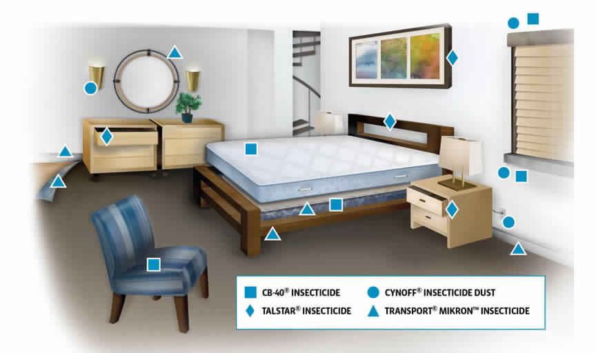 Where Do Bed Bugs Hide? Bed Bugs Sprays
