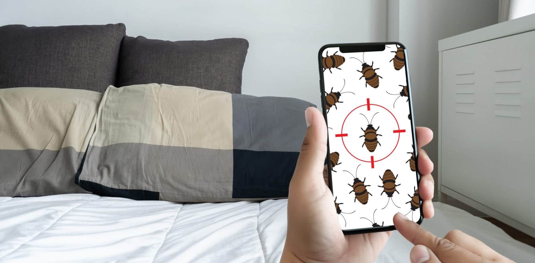 can-bed-bugs-give-you-acne-bed-bugs-sprays